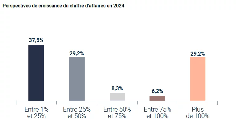 Croissance du chiffre d'affaire en 2024